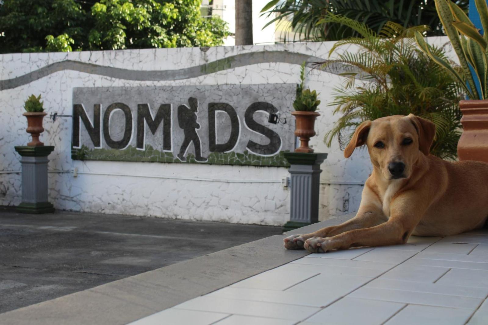 Nomads Hostel Multicultural & Coworking Salvador da Bahia Dış mekan fotoğraf