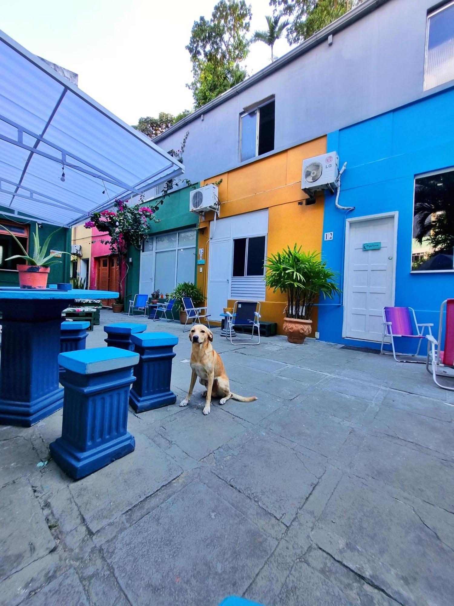 Nomads Hostel Multicultural & Coworking Salvador da Bahia Dış mekan fotoğraf