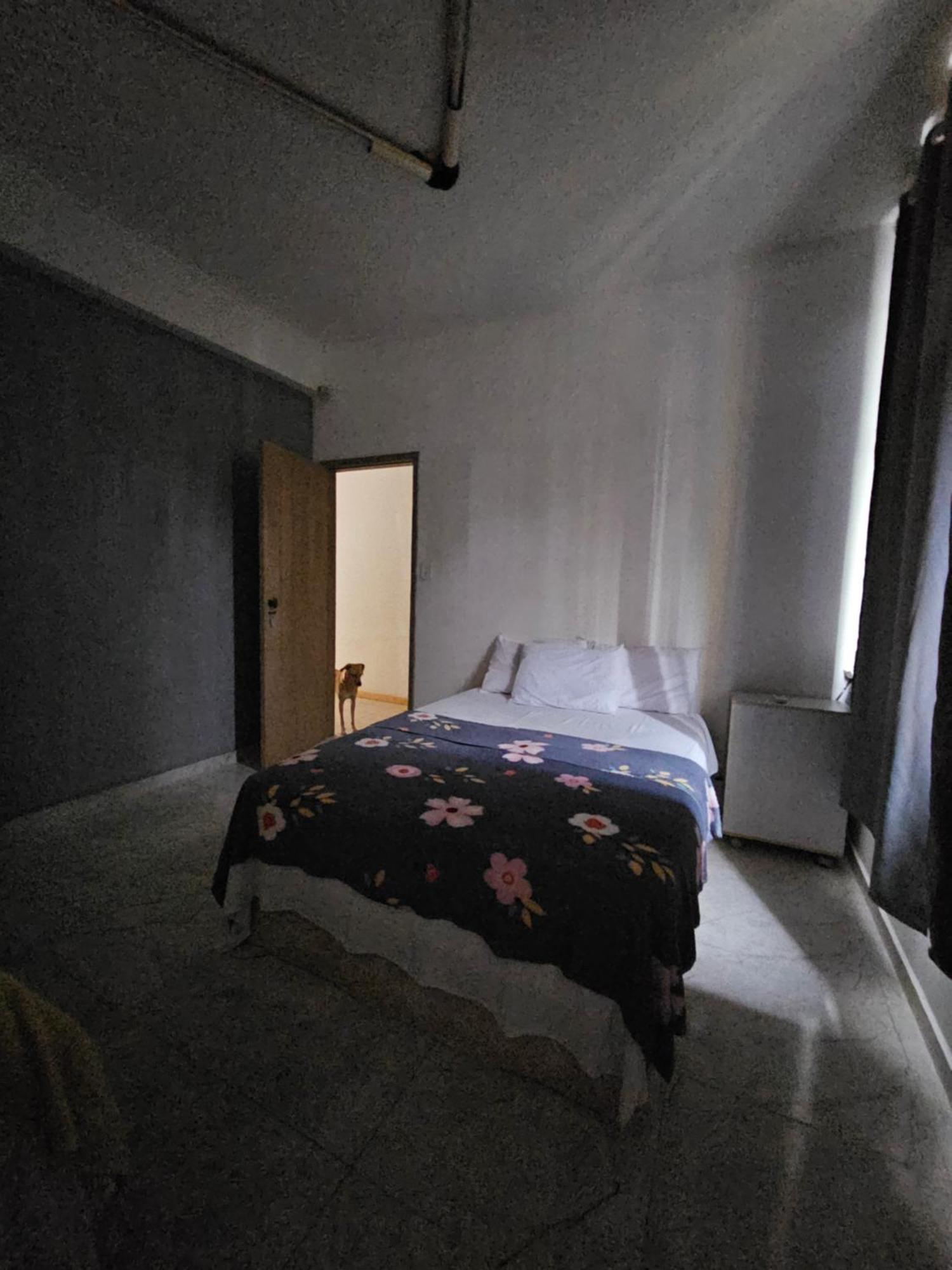 Nomads Hostel Multicultural & Coworking Salvador da Bahia Dış mekan fotoğraf