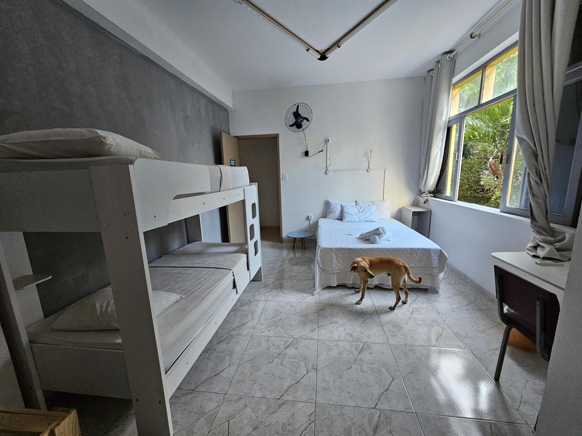Nomads Hostel Multicultural & Coworking Salvador da Bahia Dış mekan fotoğraf